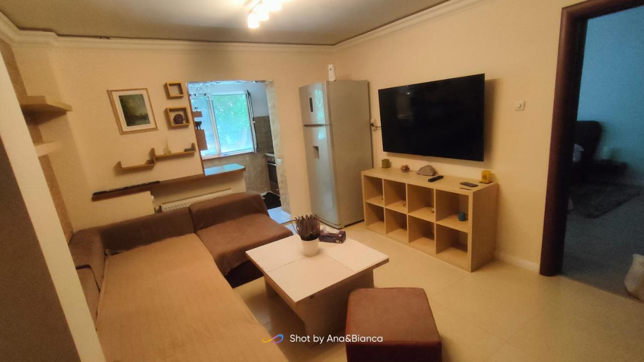 בוקרשט Duck Apartment מראה חיצוני תמונה