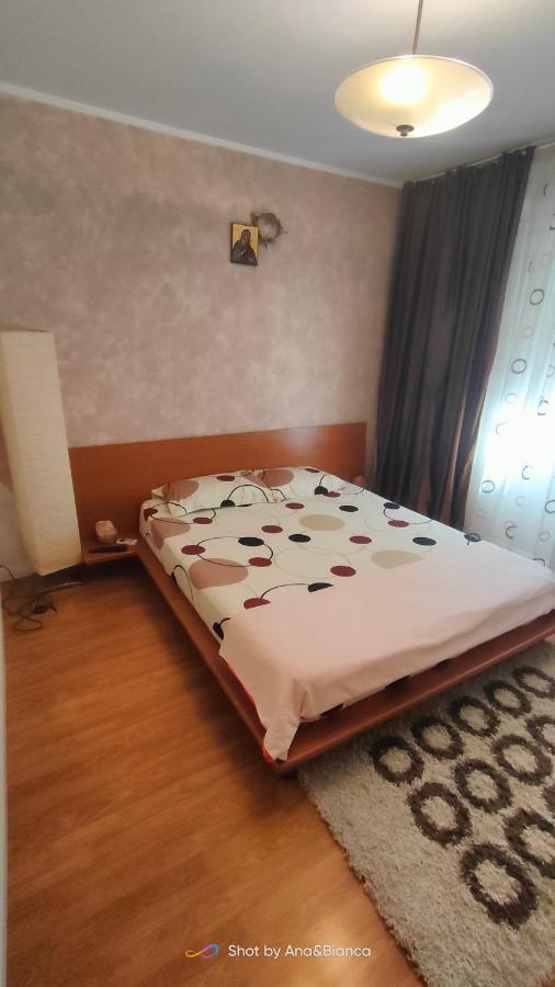 בוקרשט Duck Apartment מראה חיצוני תמונה