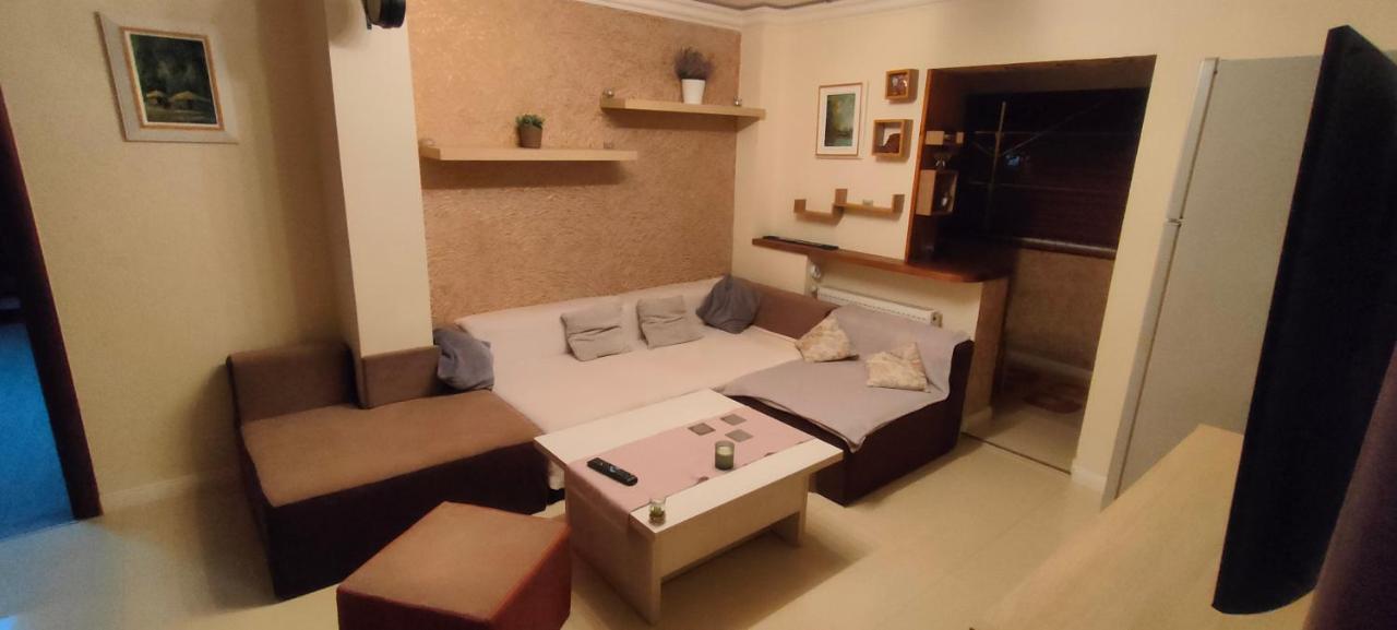 בוקרשט Duck Apartment מראה חיצוני תמונה