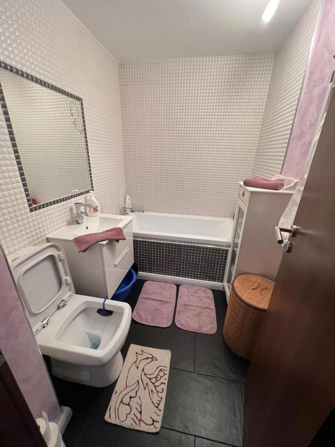בוקרשט Duck Apartment מראה חיצוני תמונה